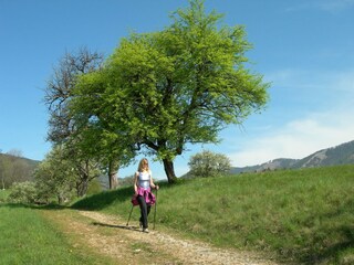 Moarhofstöckl_15 min. weg: Hausberg_Oststeiermark