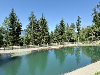 Naturteich Pöllauberg