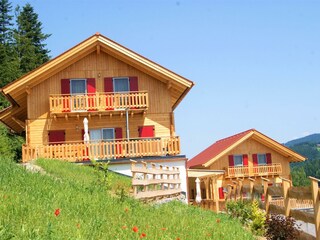 Feriendorf PB_Häuser mit Wiese_Oststeiermark