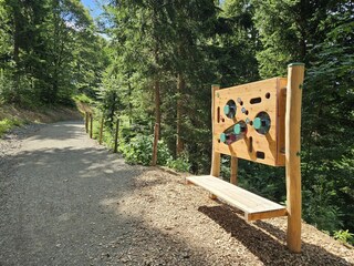Erlebnisrundweg im Wald