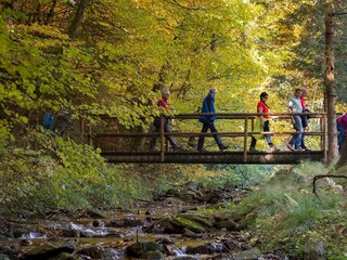 Wanderparadies Naturpark Pöllauer Tal