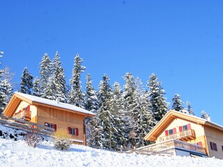 Winter am Pöllauberg