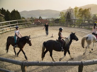 Michlhof Reiten