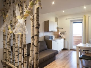 Michlhof_Wohnstudio mit Seeblick