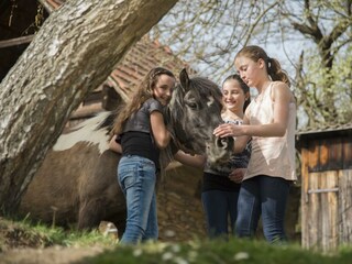 Michlhof_Reiterinnen