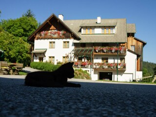 Urlaub in Miesenbach (C) UaB Sorger