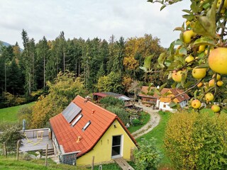 IMG_20221012_084952