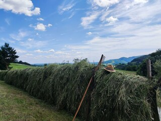IMG_20210610_135739