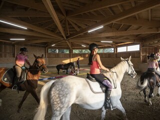 Michlhof Roundpen in Massivholz-Bauweise