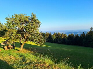 20240823_183724_resized