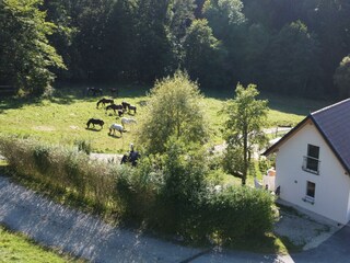 Gut Kunterbunt_Kellerstöckl_Oststeiermark