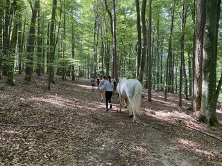 Gut Kunterbunt_Pferdespazieren_Oststeiermark
