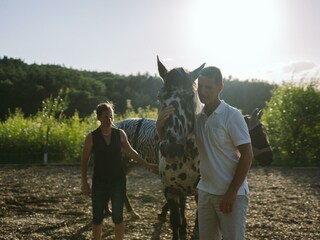 Gut Kunterbunt_Pferde