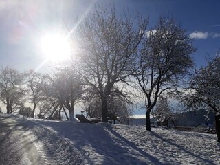 Familie Grabner_Winter_Oststeiermark