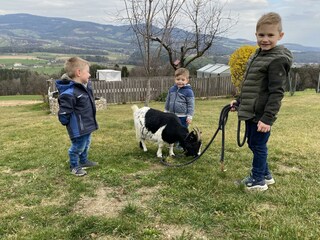 2A6146E1-3BDA-439C-870B-E85129832742