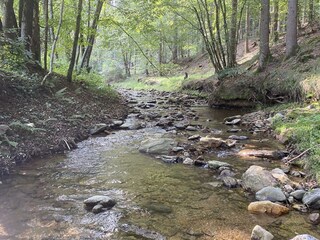 D242041F-9B82-4915-9395-27F1D68AF176