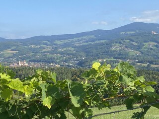 1509E948-3CA9-4948-9245-FF9580281271