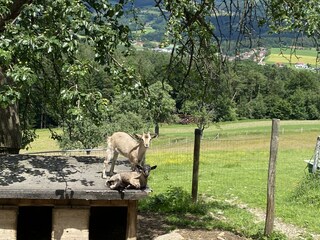 C19D305F-EC99-4BF5-8C74-8B6759D3F8E2