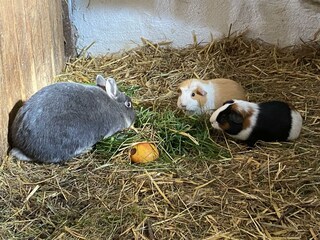 8D1E0EB7-83AA-4C80-9F0B-D4B6ED3C6C7C