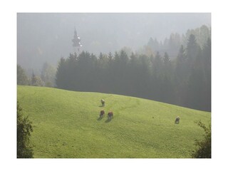 Ausblick Kirche_Klein Bachbauer