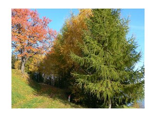 Herbst im Naturpark Almenland_Klein Bachbauer