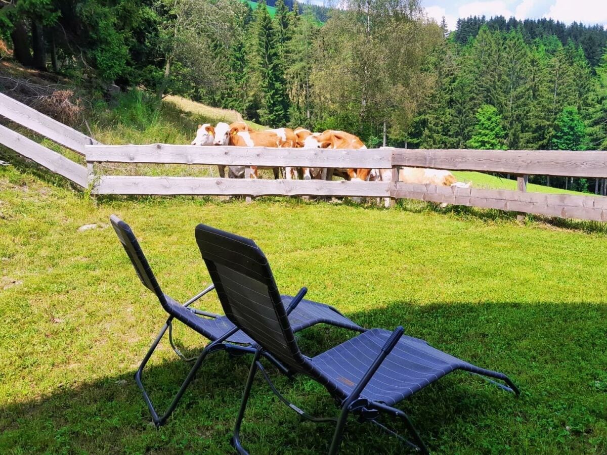 Sonnenliegen