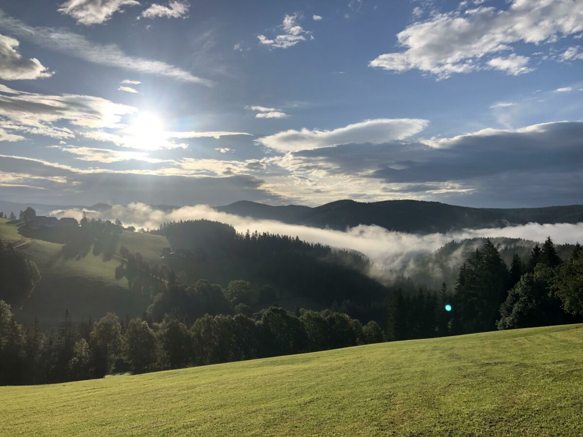 Über den Nebel