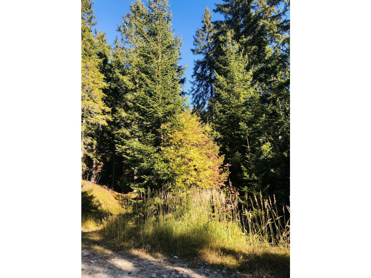 Herbst