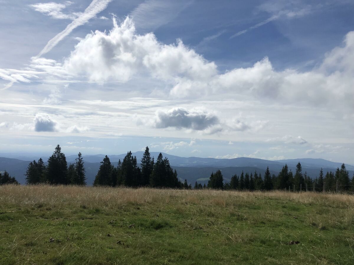 Die Alm