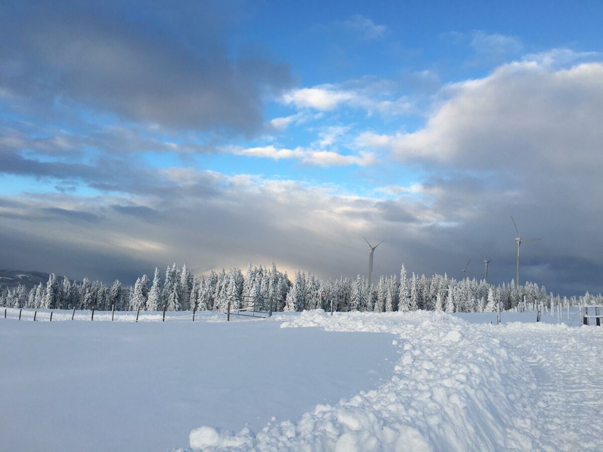 Alm im Winter