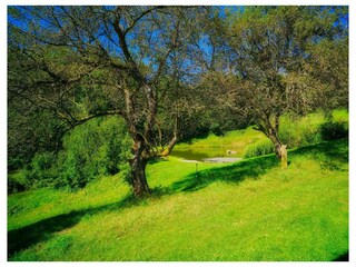 Blick auf Badeteich II