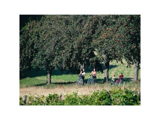 Radeln im ApfelLand