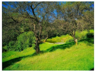 Blick auf Badeteich II