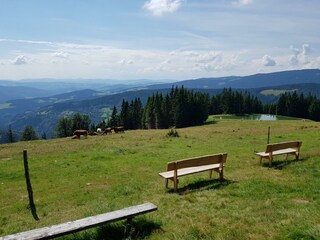 Glatzl Trahütten Alm Aussicht