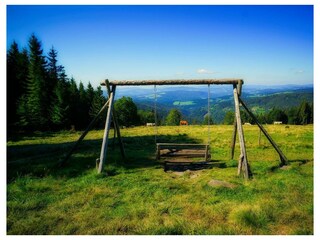 Glatzl Trahütten Alm - Schaukel
