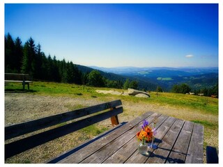 Glatzl Trahütten Alm - Ausblick in Richtung Süden