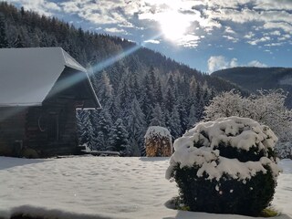 Die Energie der Natur empfangen im Landhaus Kurzen