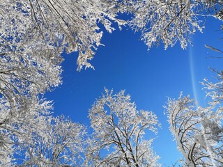 mal weit weg von allem beim Landhaus Kurzen