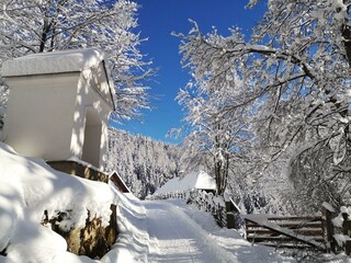 Ruhe & Auszeit im Landhaus Kurzen