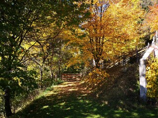 Wunderbare Farbenpracht beim Landhaus Kurzen