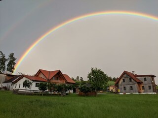 Stimmung nach einem Regen