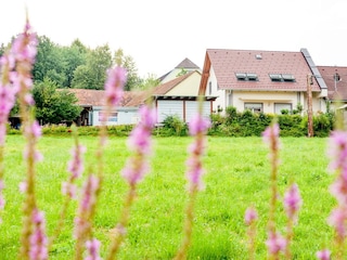 Haus Rosy Außenaufn Carport