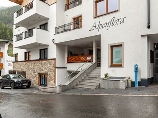 51660408-Alpenflora1-97_230510-154001142-HDR_23051