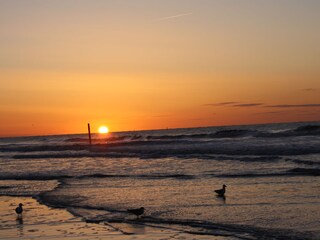 Sonnenloft Norderney
