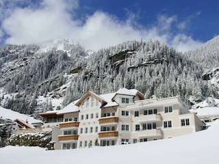 Alpenstern Winteransicht