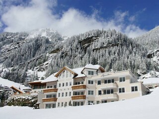 Alpenstern Winteransicht