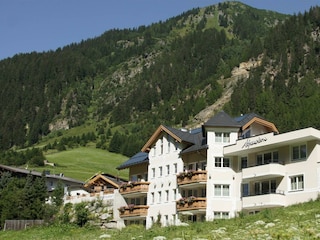 Alpenstern Sommeransicht