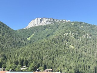 IMG_0134
