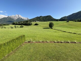 IMG_0135