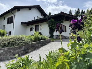 außenansicht-sommer-1